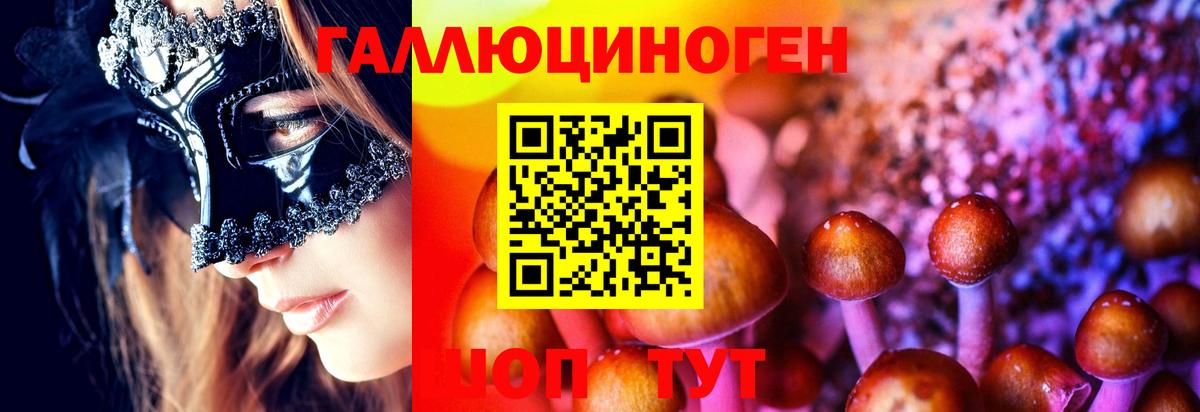 Горячий Ключ  Псилоцибиновые грибы GOLDEN TEACHER  цены наркотик  Вход с VPN 